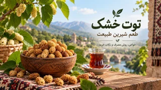 توت خشک چیست؟ خواص تغذیهای، روش مصرف، تشخیص کیفیت و نگهداری توت خشک